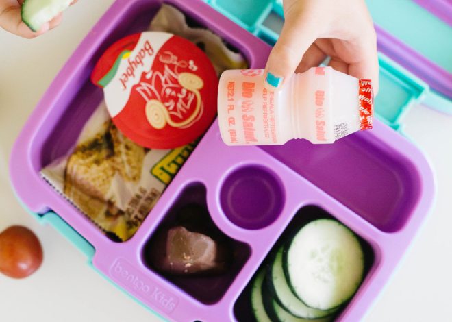 20+ strategies for packing kids lunches